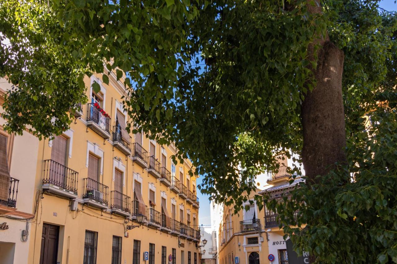 Appartement Nine O Clock San Agustin *